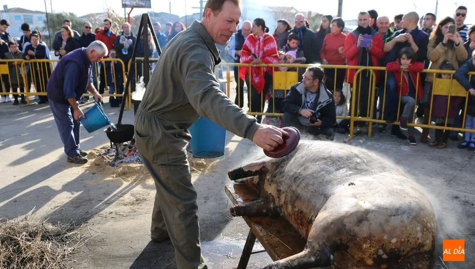 Los maestros matanceros mostrarán cada uno de los pasos de la matanza / CORRAL