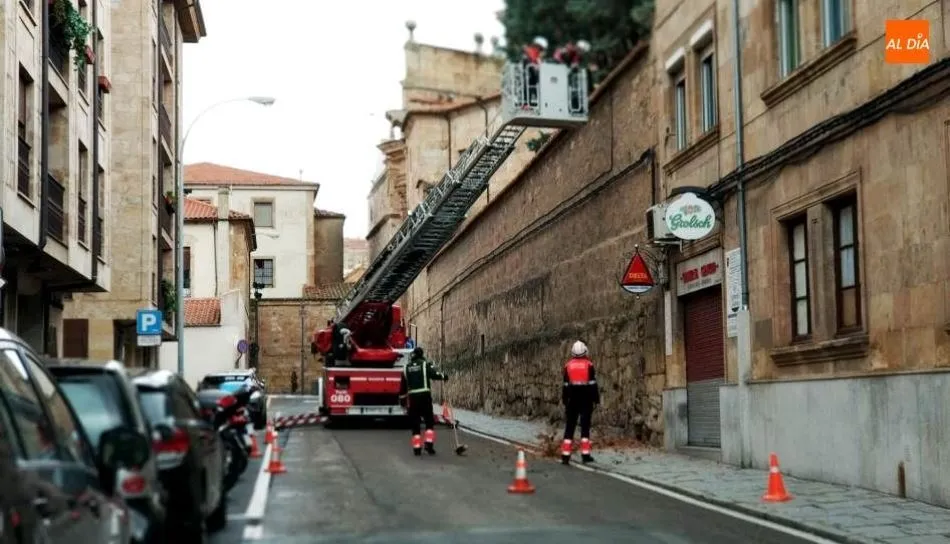 Foto 3 - Intervenci&oacute;n de los Bomberos en la calle Ancha por la ca&iacute;da de la rama de un &aacute;rbol