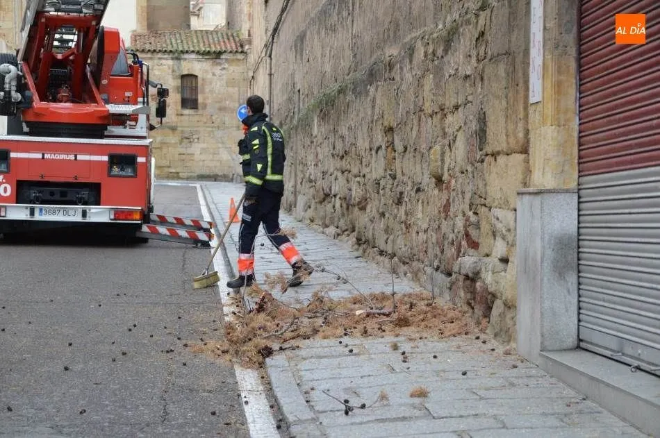 Foto 2 - Intervenci&oacute;n de los Bomberos en la calle Ancha por la ca&iacute;da de la rama de un &aacute;rbol
