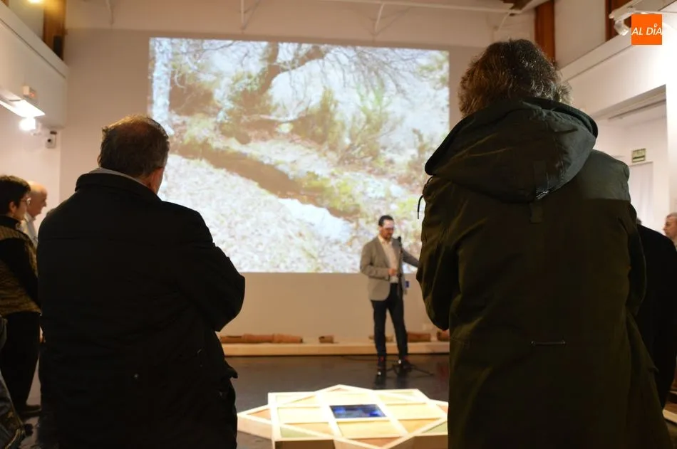 Foto 5 - Una exposici&oacute;n sensorial muestra las intervenciones realizadas en El Bosque de B&eacute;jar