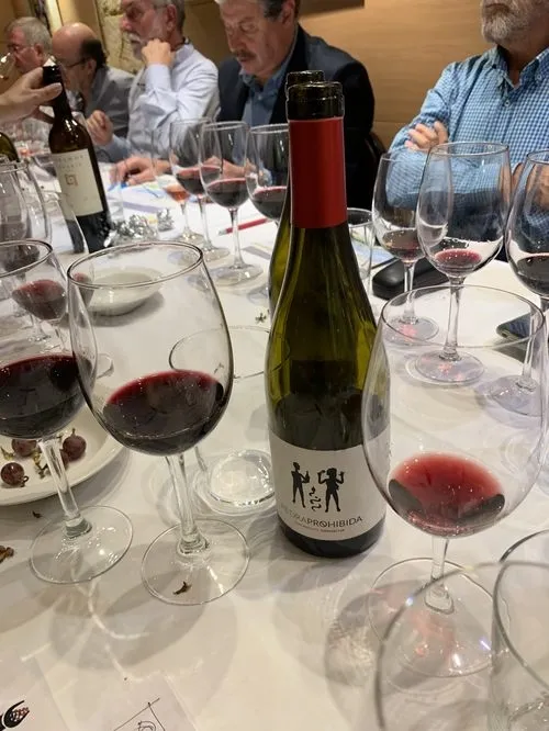 Foto 3 - Piedra Prohibida 2017, el secreto de la Garnacha  