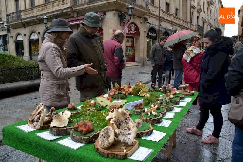 La exposición micológica levantó gran expectación entre los salmantinos / Lydia González