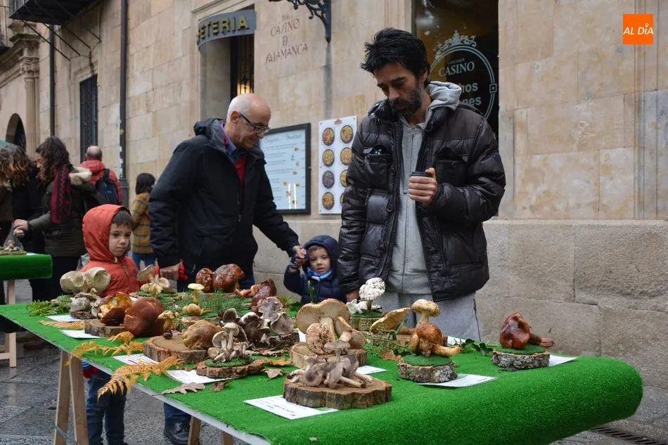 Foto 6 - La Sociedad Micol&oacute;gica Salmantina &lsquo;Lazarillo&rsquo; pone en marcha una exposici&oacute;n para celebrar sus ...
