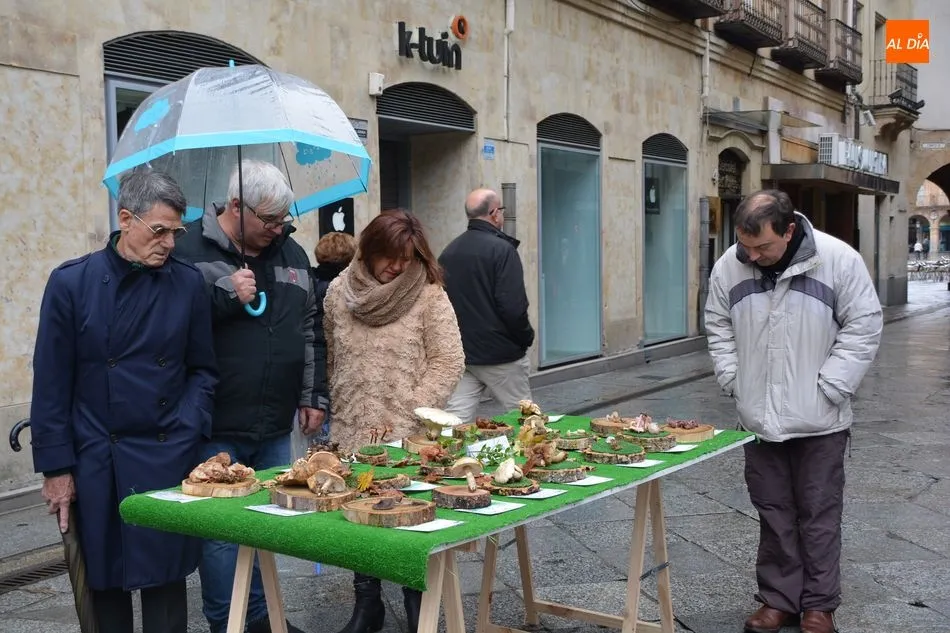 Foto 4 - La Sociedad Micol&oacute;gica Salmantina &lsquo;Lazarillo&rsquo; pone en marcha una exposici&oacute;n para celebrar sus ...