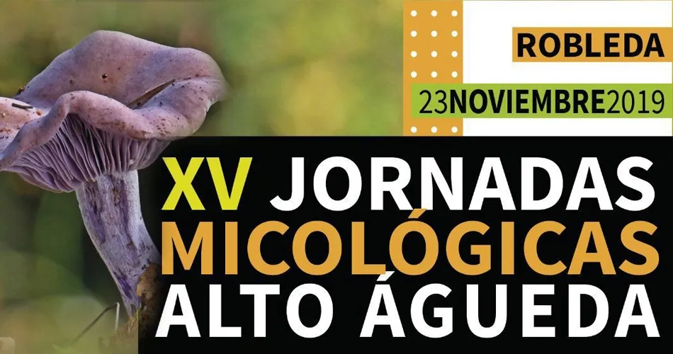 Alto Águeda organiza sus XV Jornadas Micológicas en Robleda  