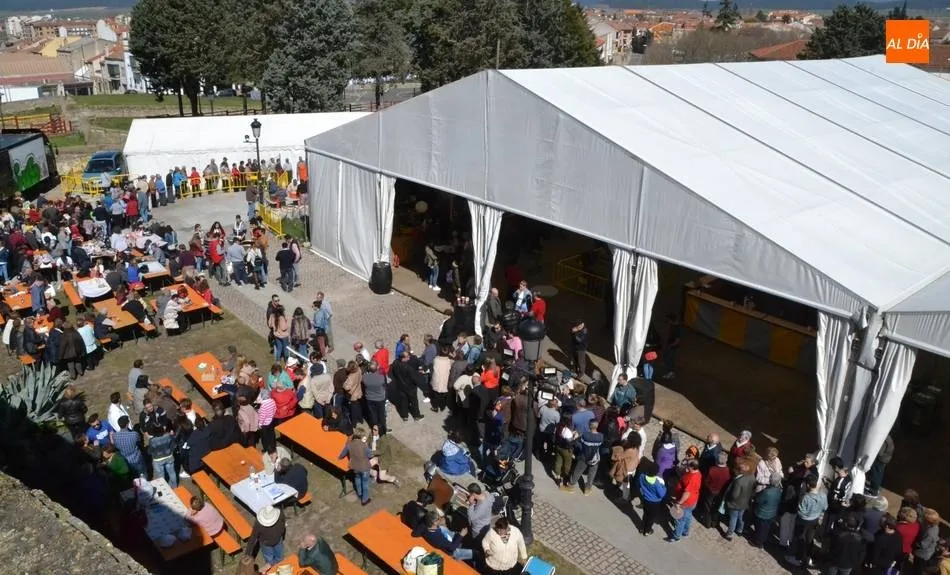 Abierta la única oferta presentada para gestionar la carpa del Carnaval 2020  