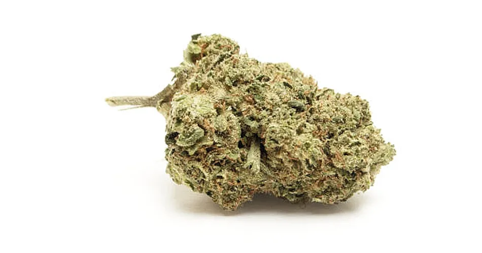 CBD: Qué es y cómo usarlo  