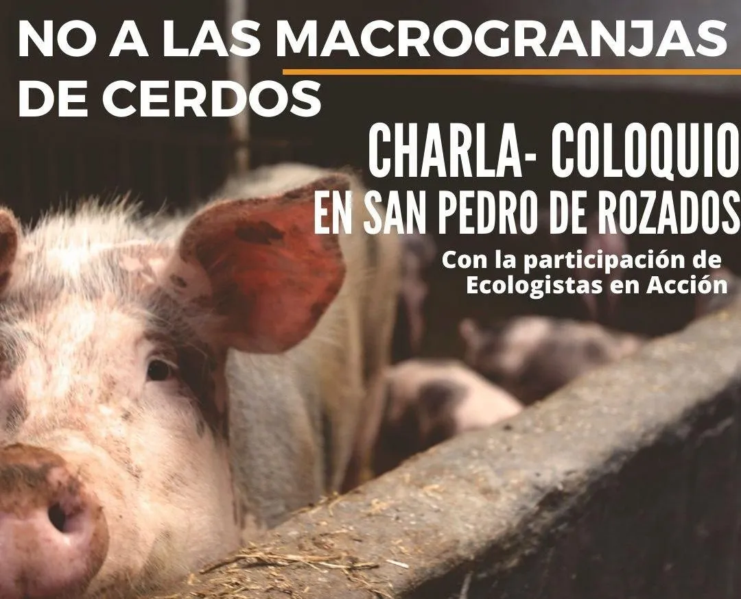 Ecologistas en Acción apoya a los vecinos de San Pedro de Rozados que se oponen a la macrogranja...
