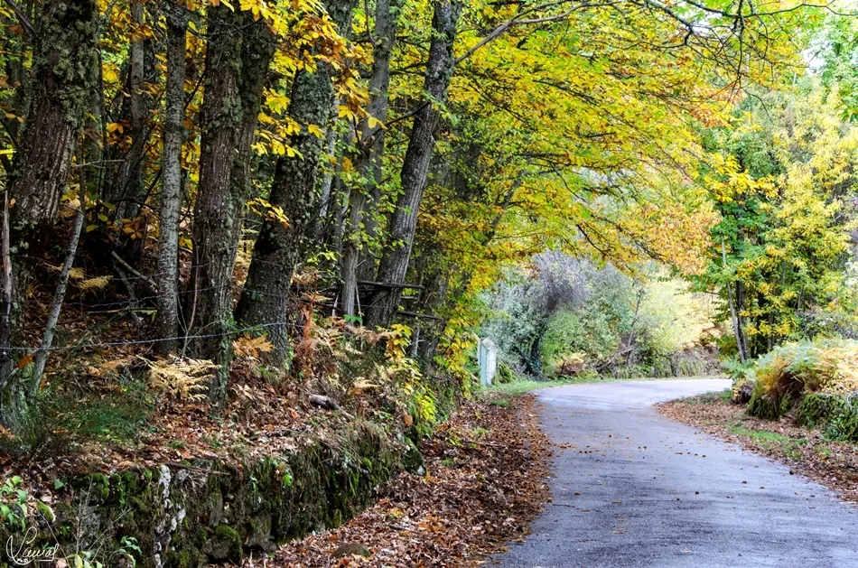 ¿Cuál es tu destino?
