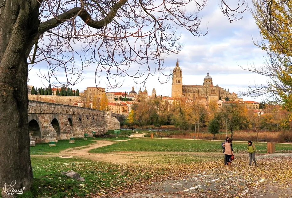 La rendición de la hojarasca