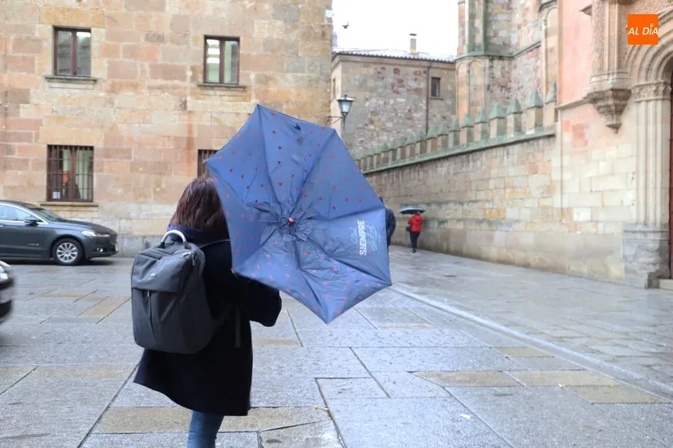 Foto 2 - El viento y la lluvia causan estragos en Salamanca