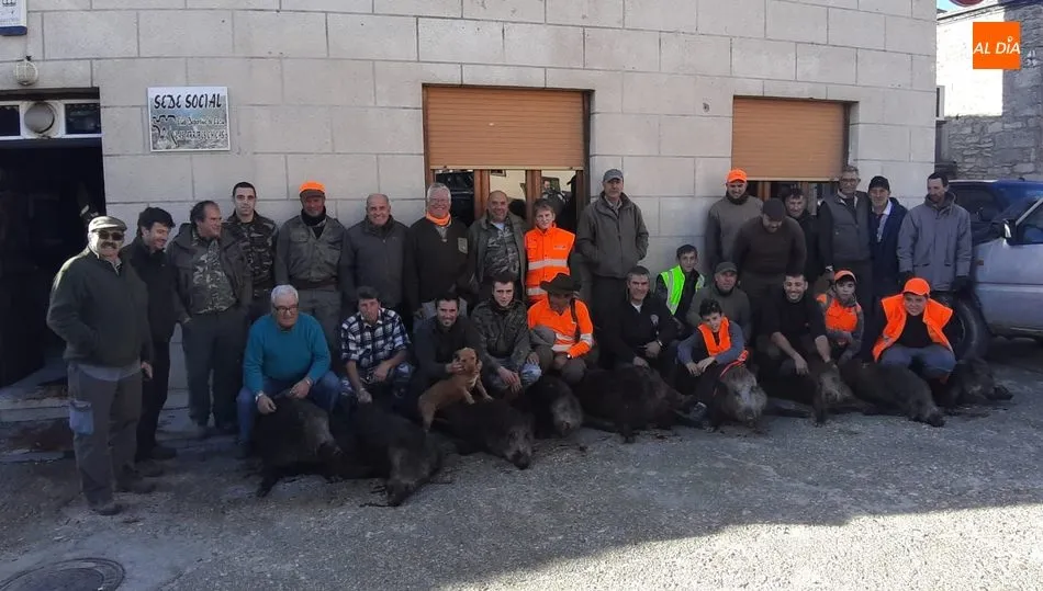 Extraordinario tapete de jabalíes en Sobradillo  