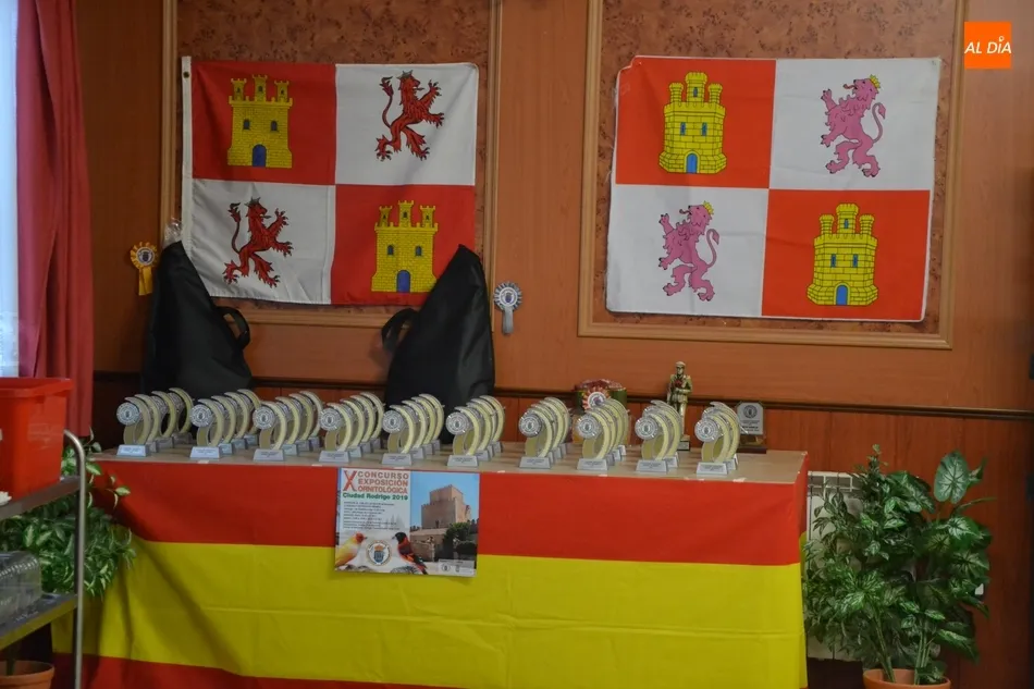 Foto 3 - En marcha la Exposici&oacute;n Ornitol&oacute;gica con la cifra de p&aacute;jaros y criadores m&aacute;s alta de los...