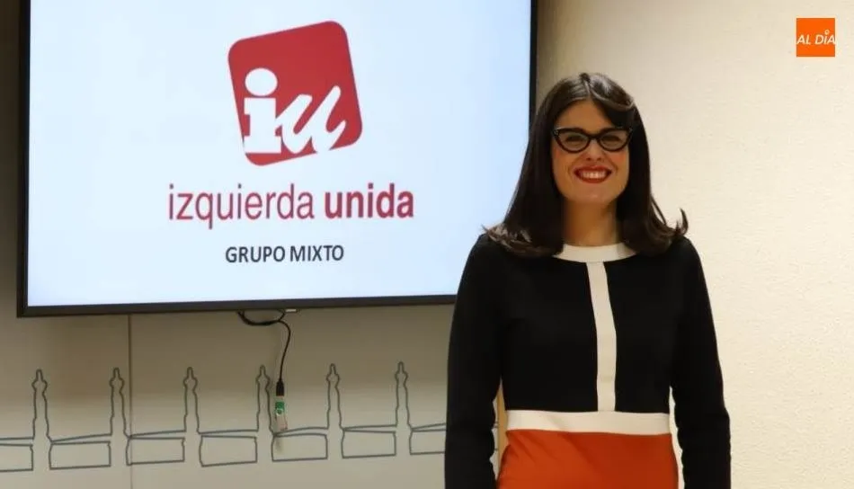 Foto 2 - IU pedir&aacute; en el Pleno columpios inclusivos en los parques de la ciudad