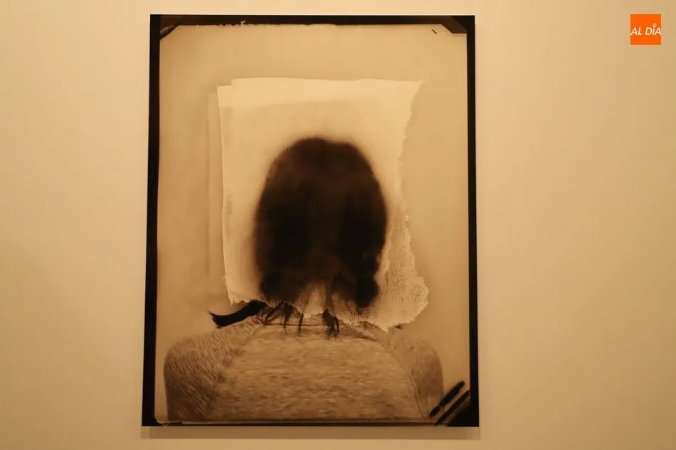 Foto 9 - &nbsp;&lsquo;Po&eacute;ticas de Interior&rsquo;, las fotograf&iacute;as de Leonor B. de la Lastra en el Da2