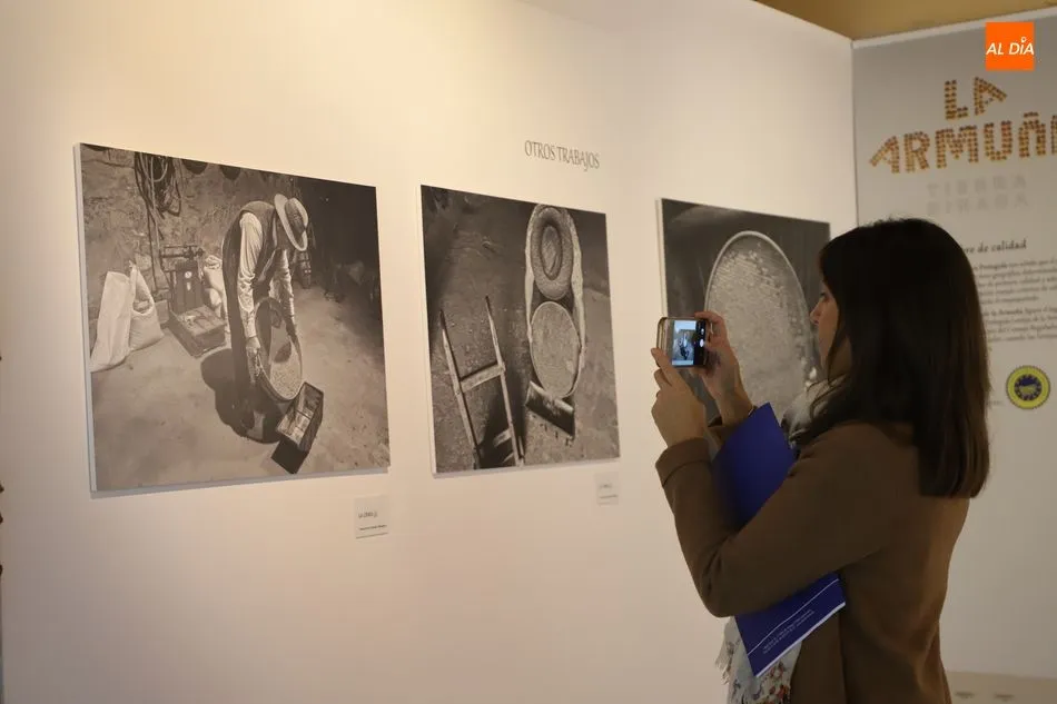 Foto 7 - El Museo del Comercio dedica una exposici&oacute;n a la producci&oacute;n de la lenteja en La Armu&ntilde;a