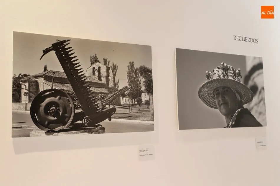 Foto 6 - El Museo del Comercio dedica una exposici&oacute;n a la producci&oacute;n de la lenteja en La Armu&ntilde;a