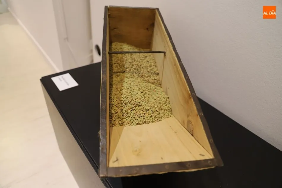 Foto 4 - El Museo del Comercio dedica una exposici&oacute;n a la producci&oacute;n de la lenteja en La Armu&ntilde;a