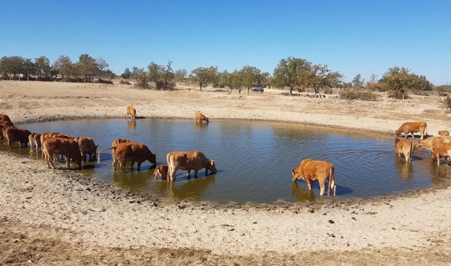 Los beneficiarios tienen un plazo de tres meses desde que reciban la notificación para su formalización, no obstante la medida que acaba de resolverse podrá oficializarse hasta finales de febrero del próximo año