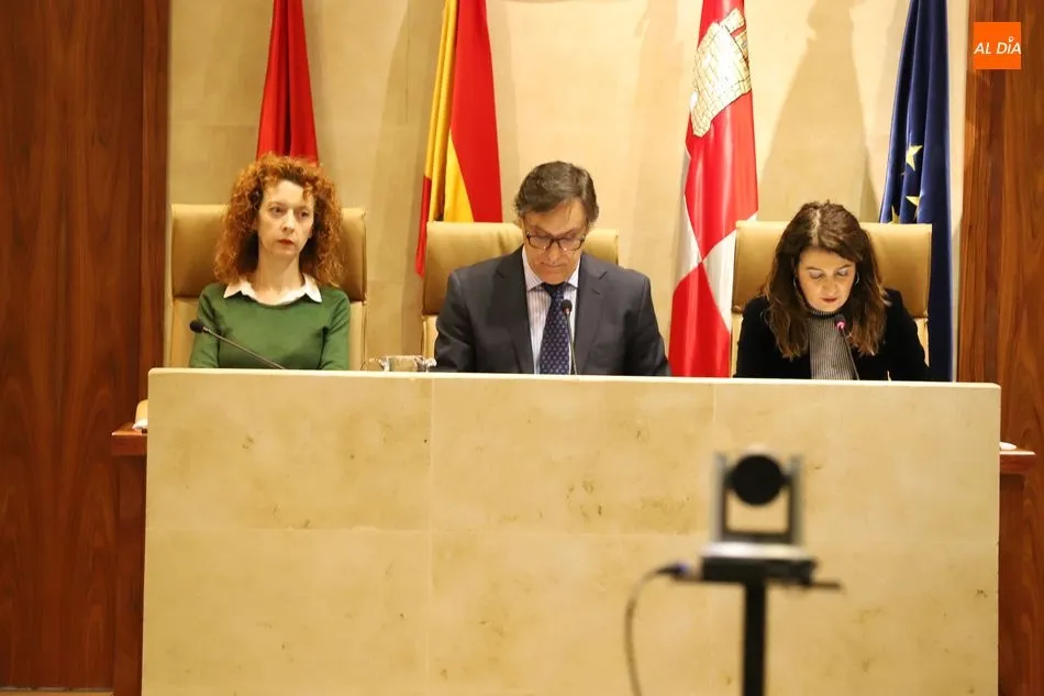 Foto 6 - El pleno del Ayuntamiento de Salamanca ratifica las Medallas de Oro para CES y C&aacute;ritas Diocesana