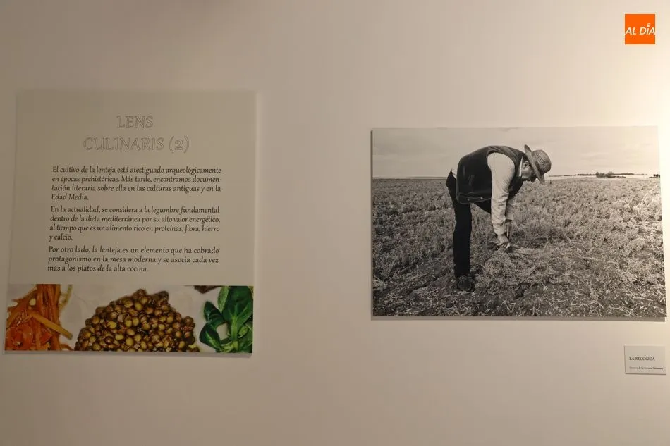 Foto 9 - &Aacute;ngel Centeno expone en el Museo del Comercio salmantino una muestra fotogr&aacute;fica sobre la...