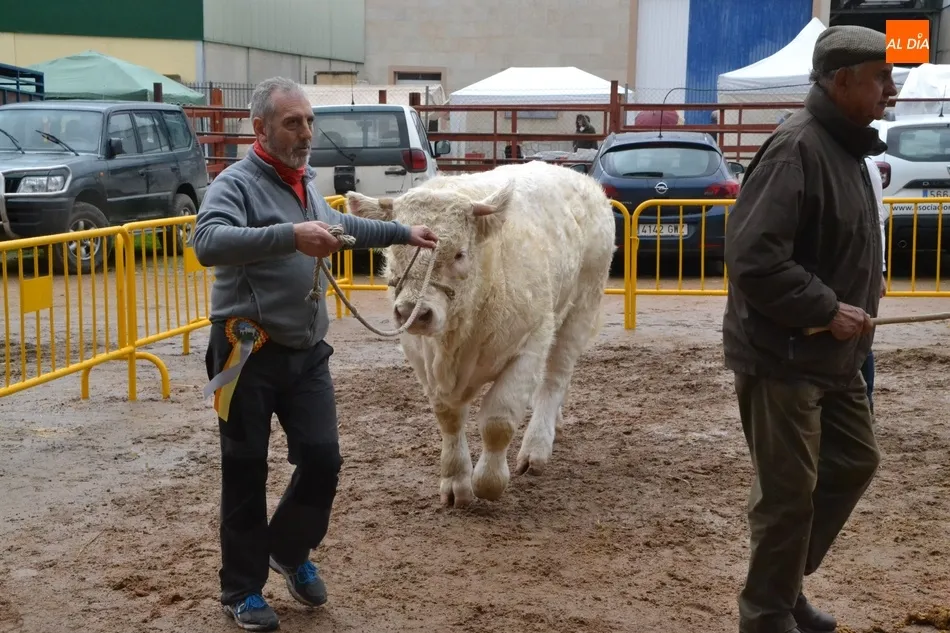 Foto 11 - El homenaje a Jos&eacute; Pinto culmina una ma&ntilde;ana de Feria con buen ambiente pese a la lluvia  