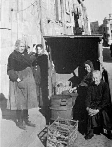 Foto 2 - El origen del casta&ntilde;ero