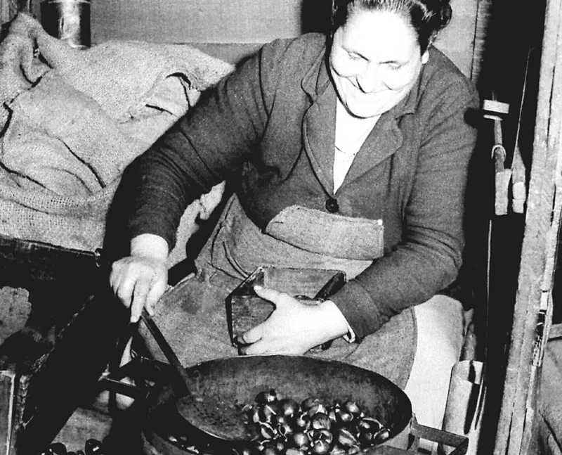 El origen del castañero