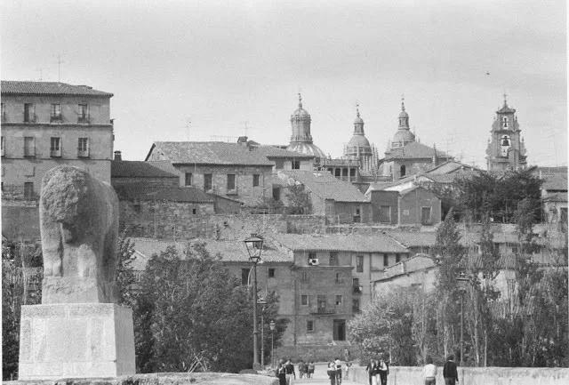 Foto 3 - El toro del Puente Romano