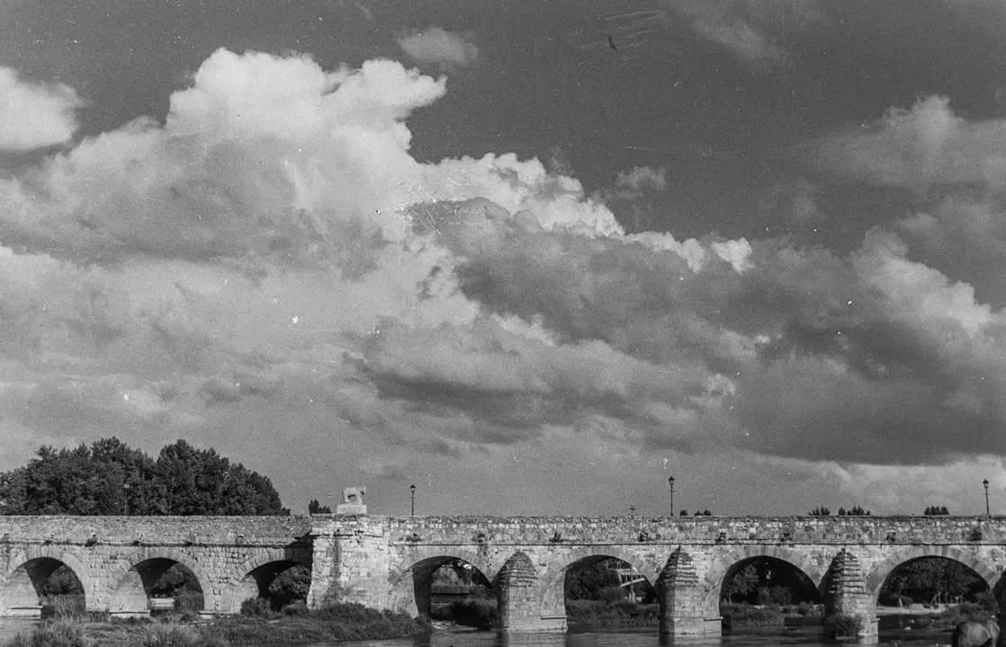 Foto 5 - El toro del Puente Romano