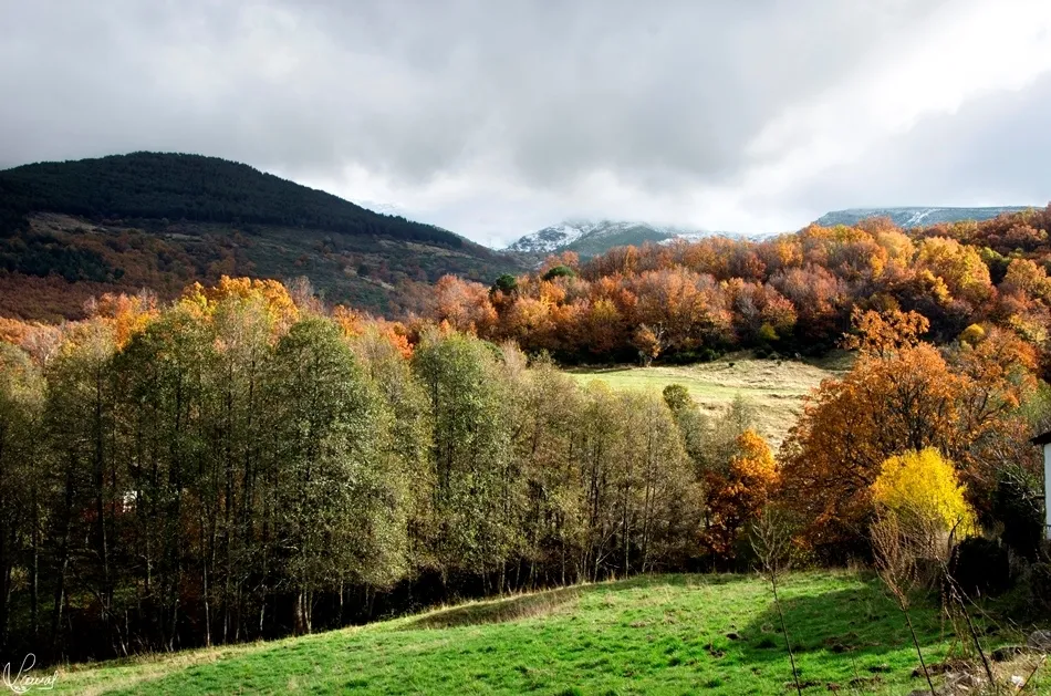 Frío en el horizonte