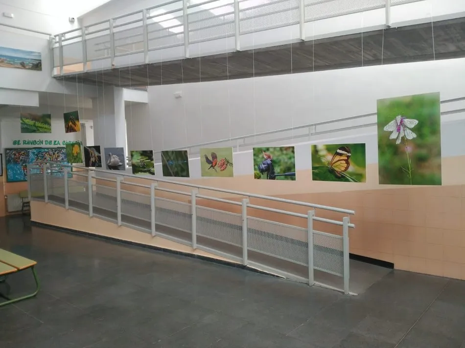 Foto 9 - El IES Campo Charro de La Fuente de San Esteban acoge una exposici&oacute;n fotogr&aacute;fica de Neli Mart&iacute;n  