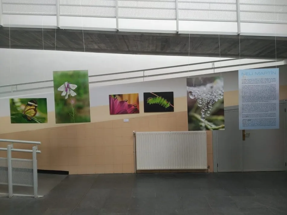 Foto 7 - El IES Campo Charro de La Fuente de San Esteban acoge una exposici&oacute;n fotogr&aacute;fica de Neli Mart&iacute;n  