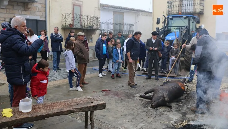 Los más pequeños conocen como se hacía la matanza en los pueblos durante esta época del año / CORRAL