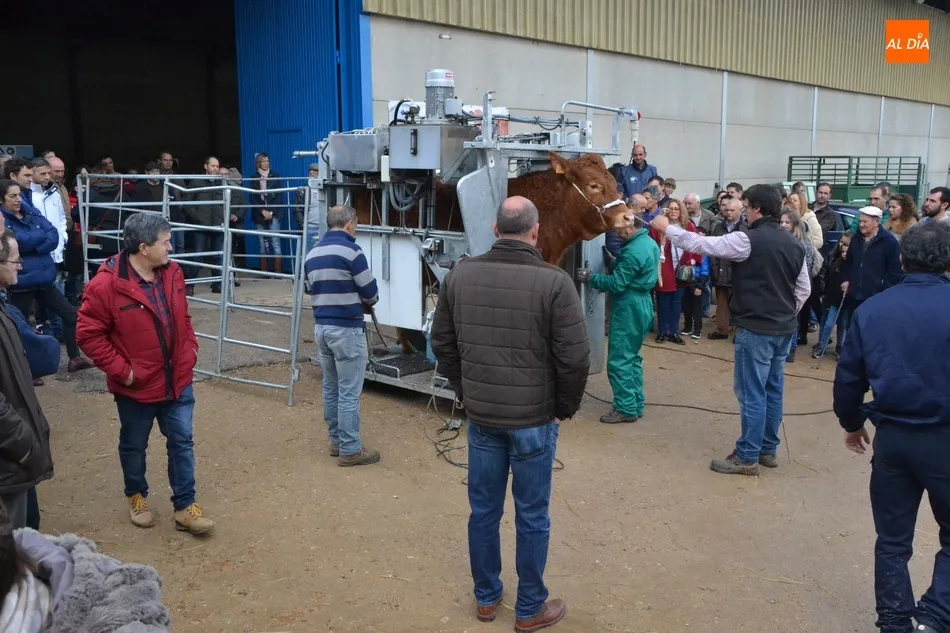 Una exhibición sobre salud podal y la entrega de premios cierran la actividad en el Recinto Ferial ...
