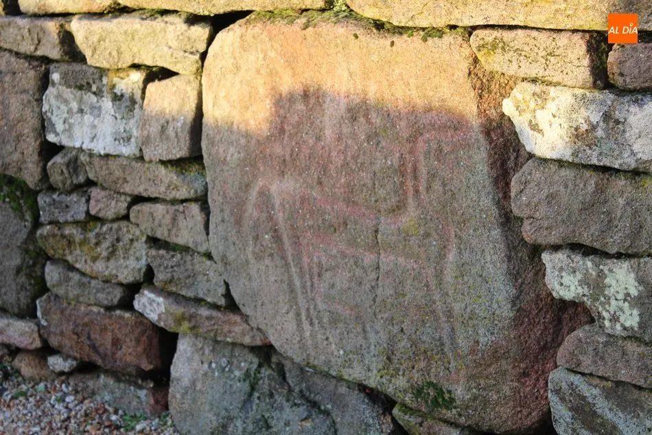 Foto 8 - Castro Vet&oacute;n de Yecla de Yeltes, el secreto de las piedras  