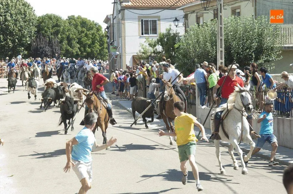Encierro de Fuenteguinaldo el pasado verano | Foto Adrián Martín