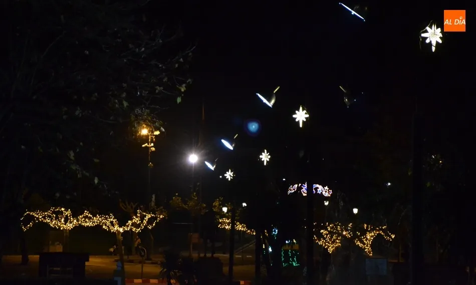 Foto 3 - Ciudad Rodrigo inaugura la Navidad 2019 con el encendido de su ampliado alumbrado  