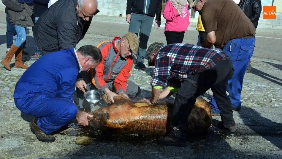 Foto 11 - Acogedora jornada de matanza t&iacute;pica del cerdo en Hinojosa de Duero