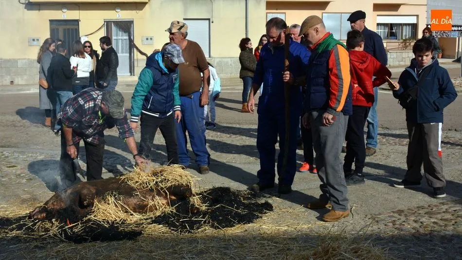 Foto 10 - Acogedora jornada de matanza t&iacute;pica del cerdo en Hinojosa de Duero