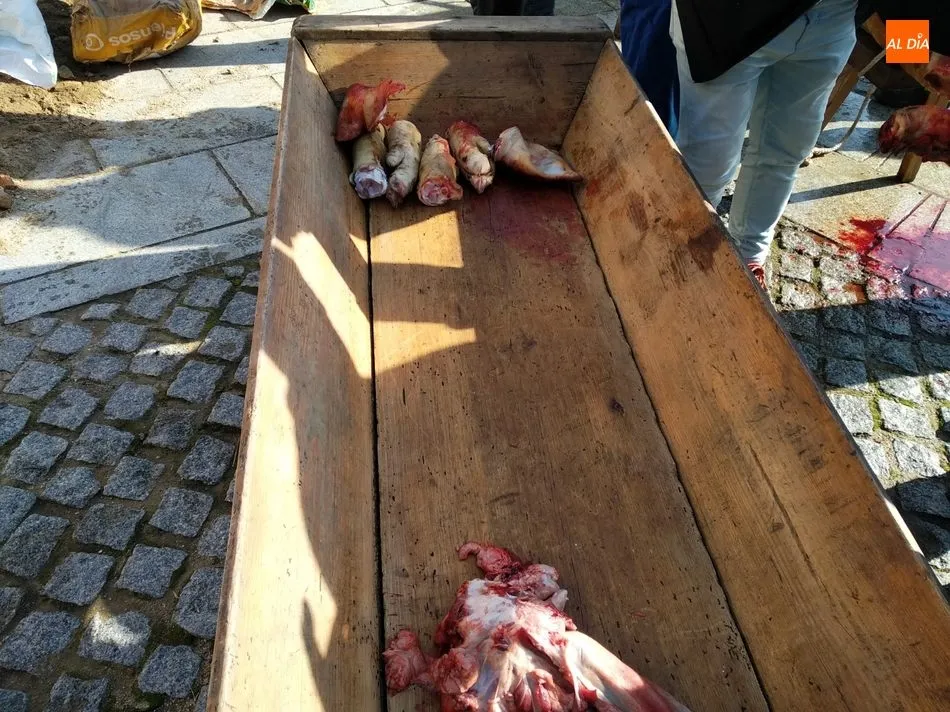 Foto 7 - Vecinos y forasteros viven con gran intensidad en&nbsp;Sobradillo la II Matanza Tradicional  