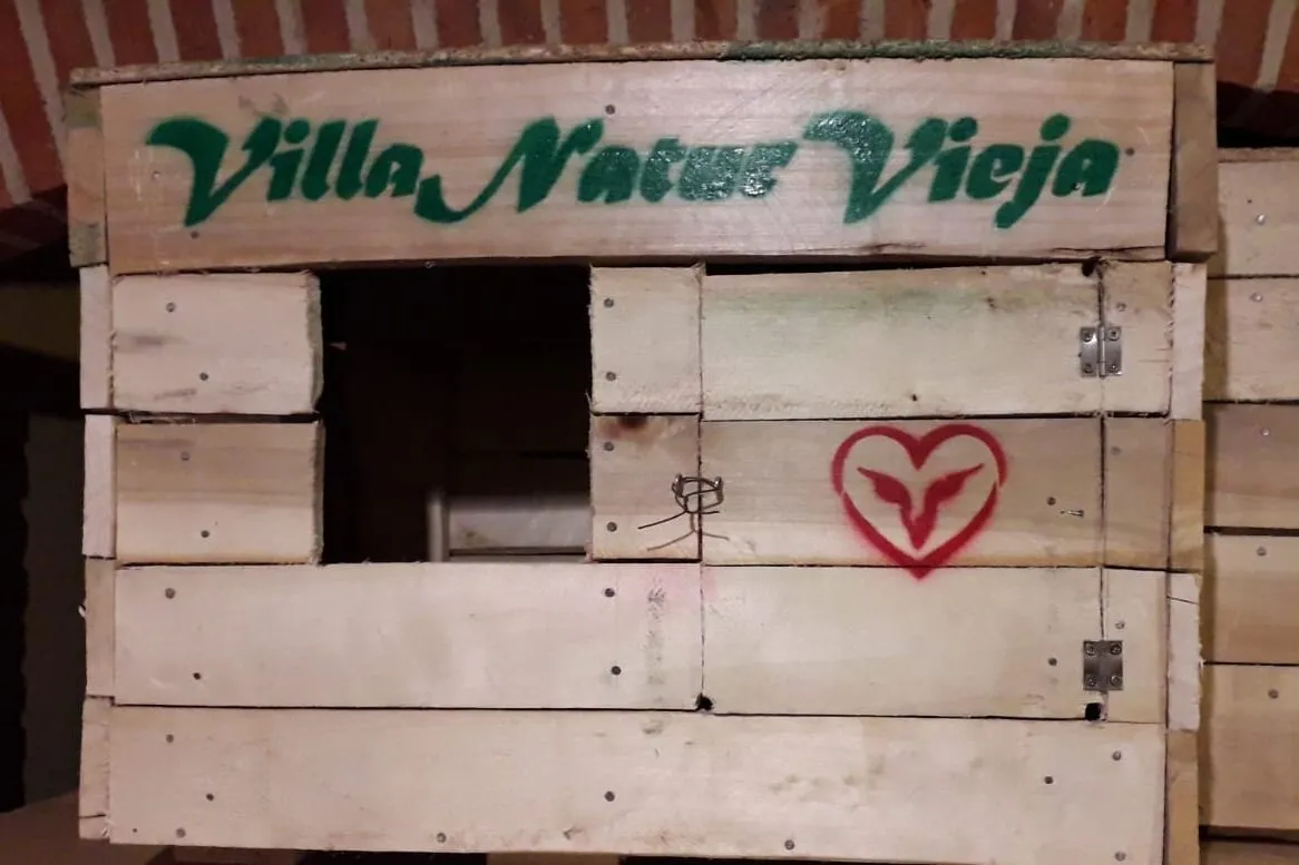 Foto 5 - La Asociaci&oacute;n Pe&ntilde;a Gaviota pone cerco desde Villavieja de Yeltes al escarabajo de las encinas