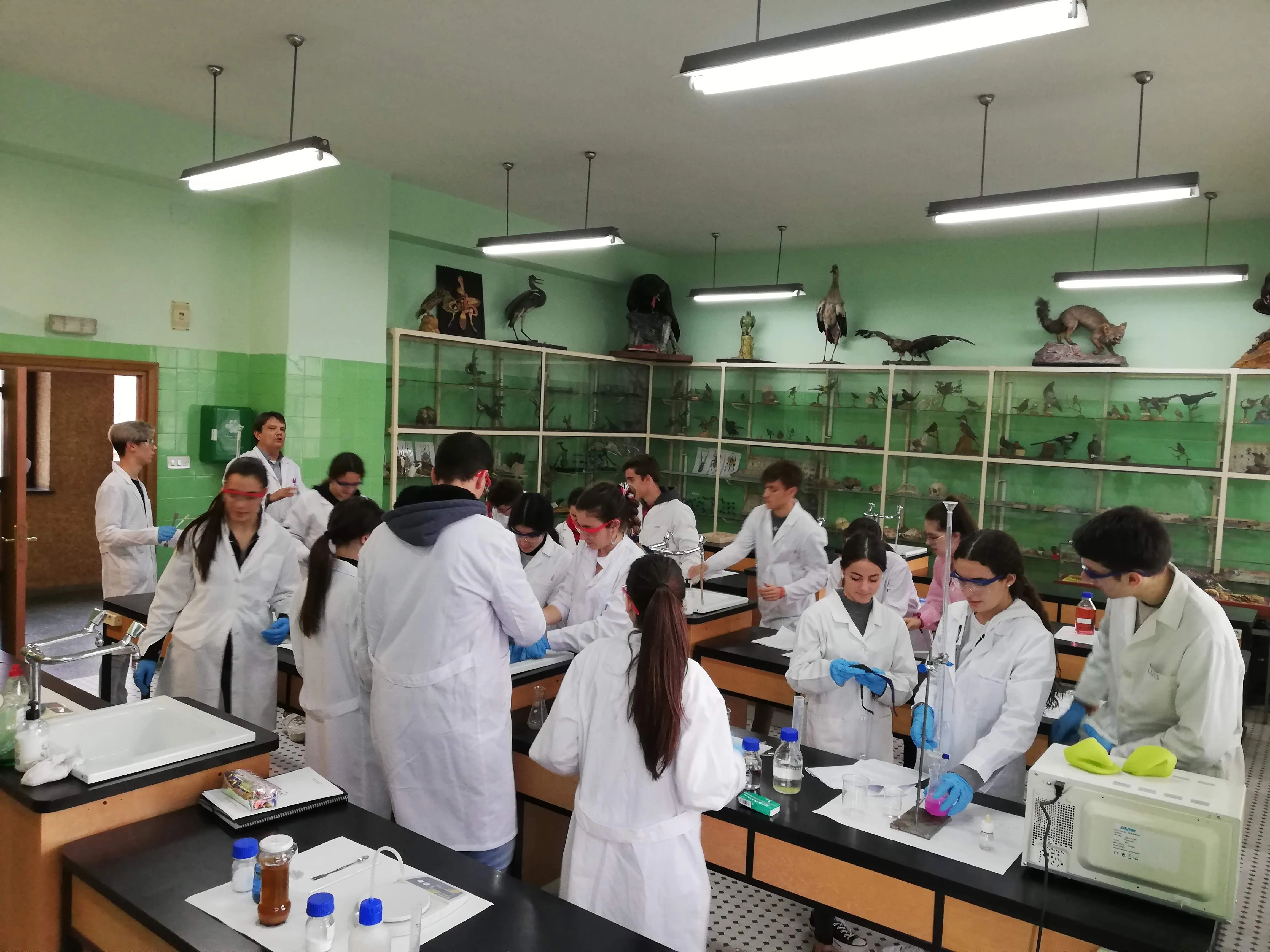 Foto 2 - Comienza la actividad en los laboratorios del Colegio Calasanz