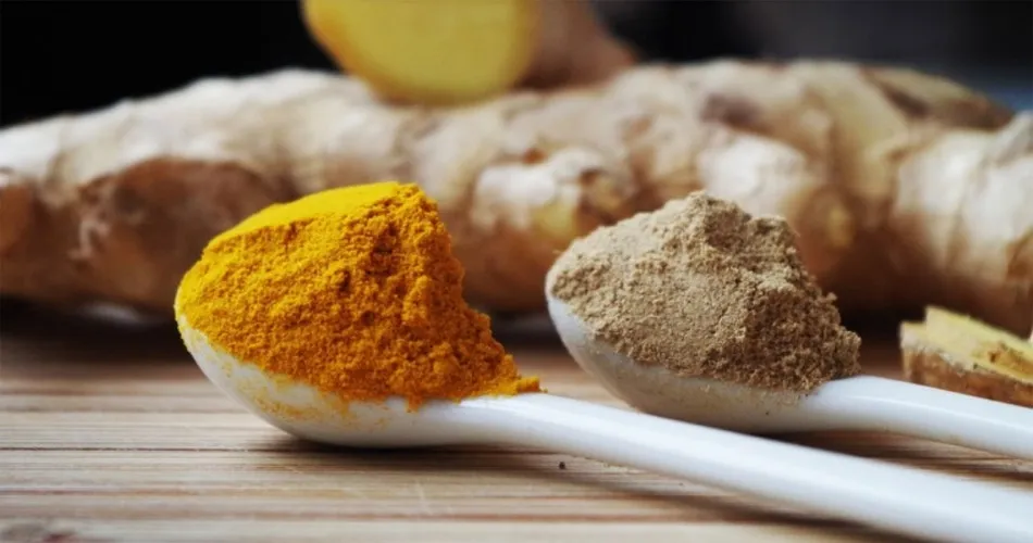 Cúrcuma y jengibre: 2 súper-alimentos para plantar en tu jardín