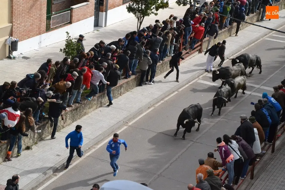 Un encierro carnavalero por la Avenida Conde de Foxá