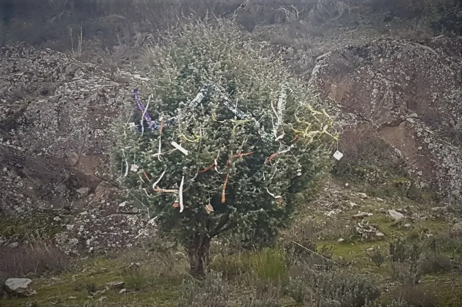 Foto 5 - La magia de la Navidad es posible en Las Arribes  