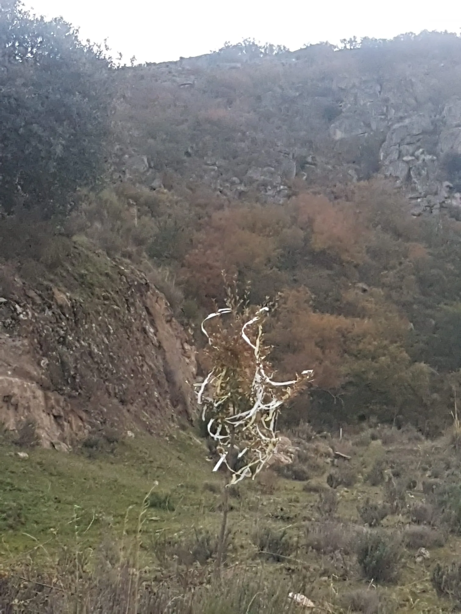 Foto 4 - La magia de la Navidad es posible en Las Arribes  