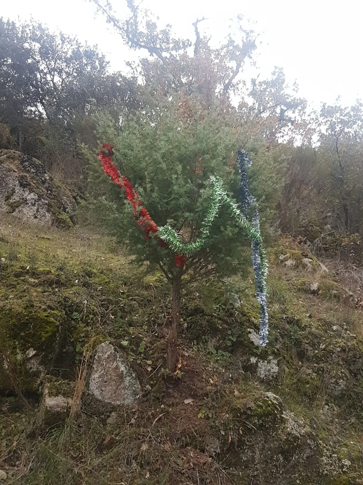 Foto 3 - La magia de la Navidad es posible en Las Arribes  