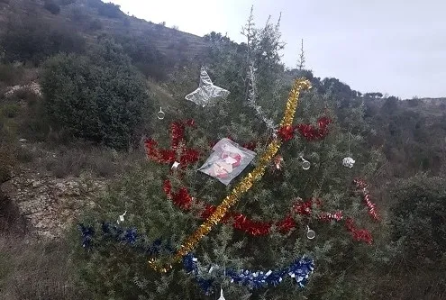 Árbol decorado por David y Ayari