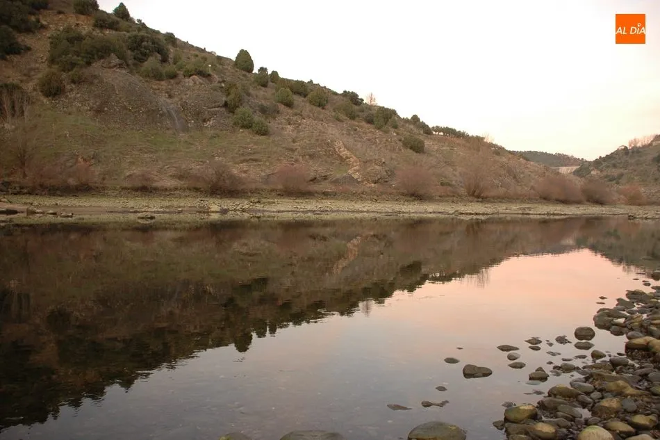 Foto 3 - El lenguaje de los peces del Duero&nbsp;